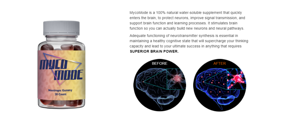 MycoMode Nootropic Brain Gummies price